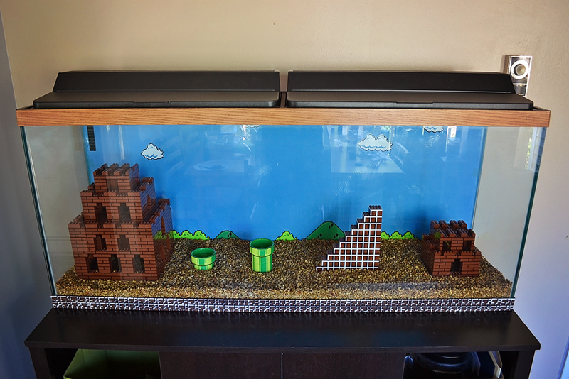 Illustration for article titled Watch A Super Mario Bros. Aquarium Get Built From Scratch